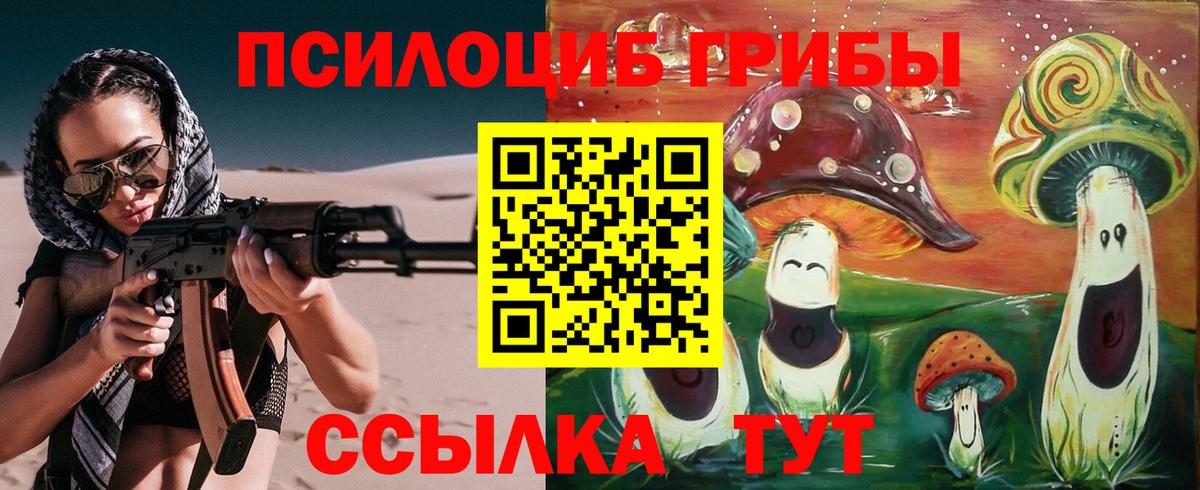 Галлюциногенные грибы Psilocybe  Вход с VPN  Заводоуковск 
