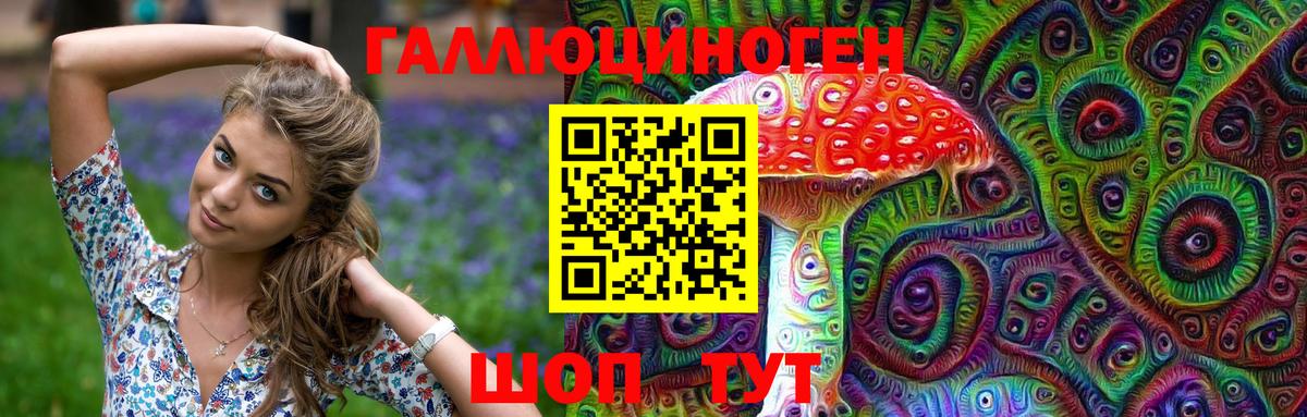 Псилоцибиновые грибы Psilocybe Заводоуковск